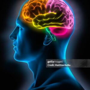 Talking about the brain with mind.....